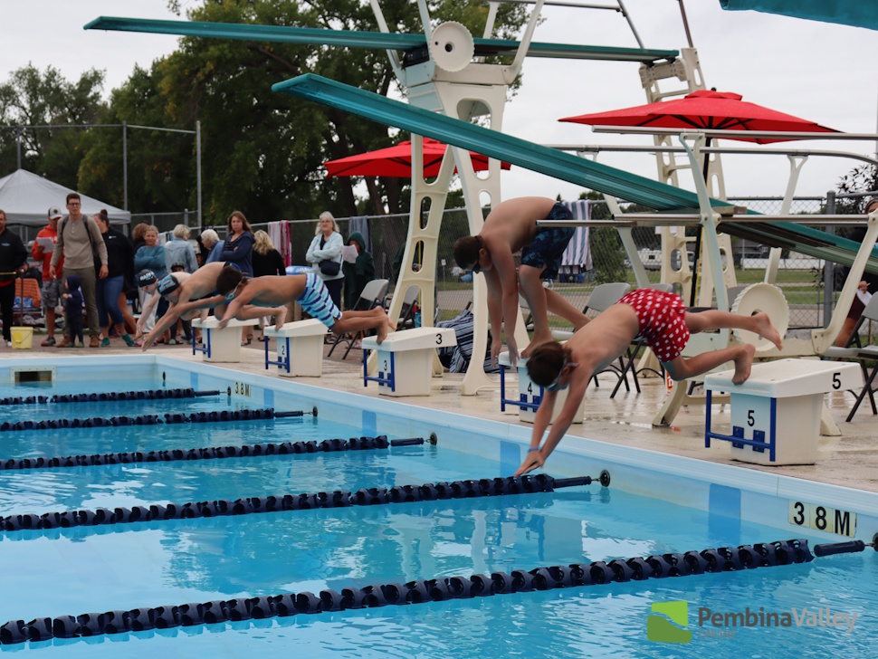 swimmers diving