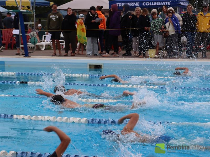 swimmers swimming