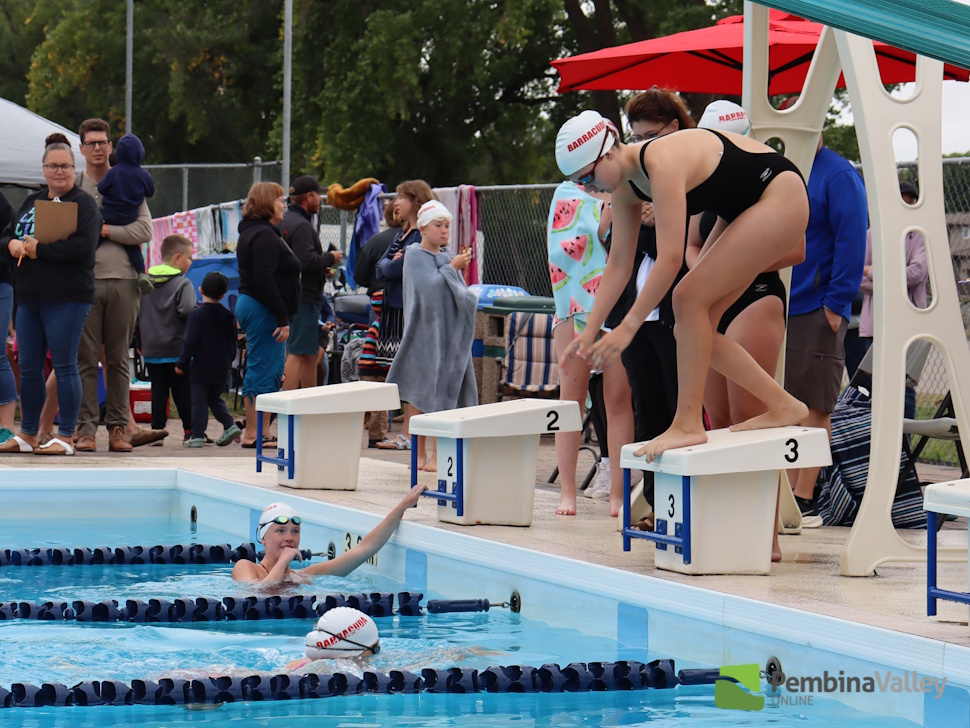 swimmers diving