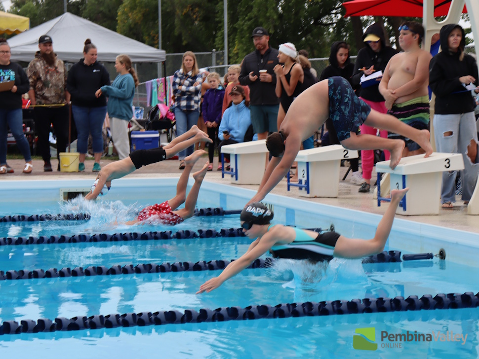 swimmers in motion