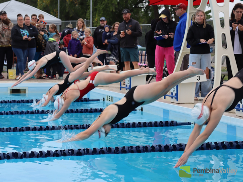 swimmers diving