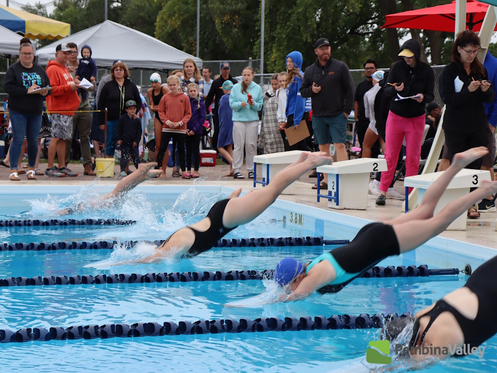 swimmers diving