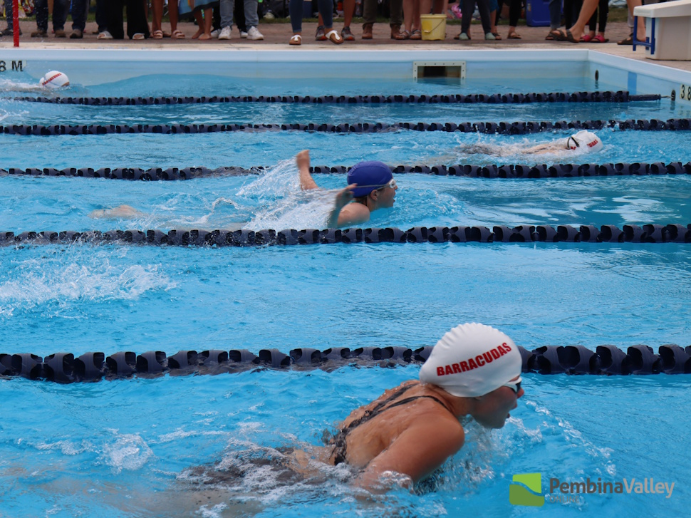 swimmers swimming