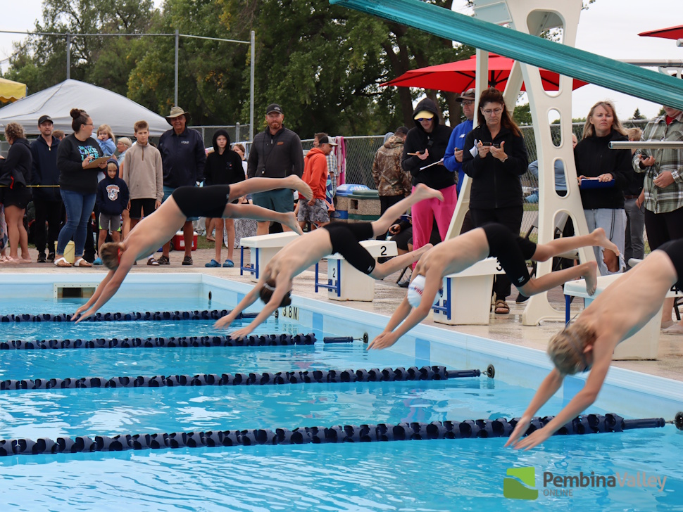 swimmers diving in the water