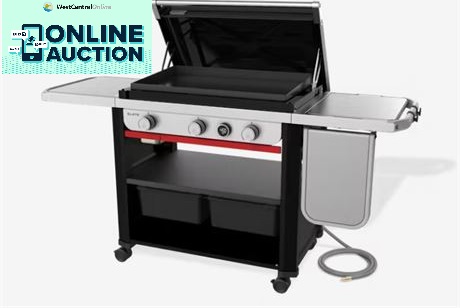 bbq auction pic.jpg