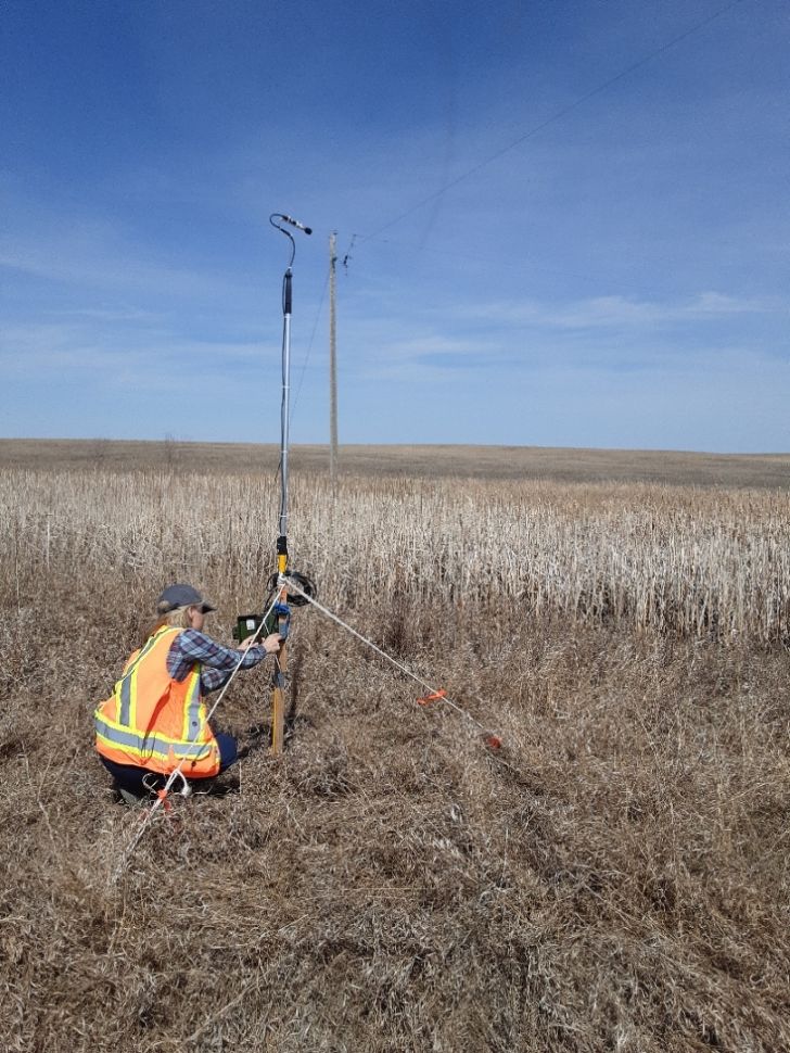 environmental survey
