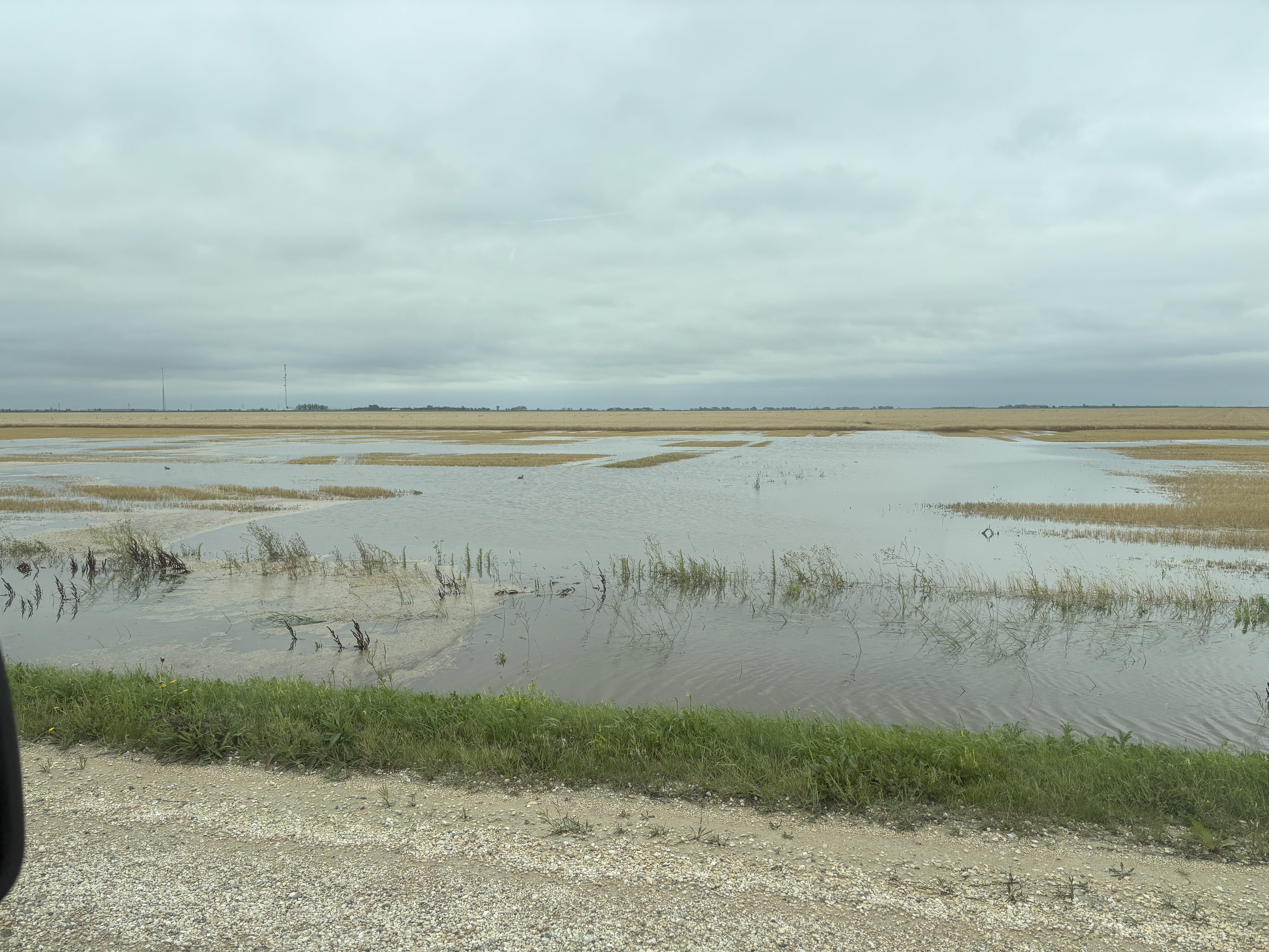 Water on fields from August 20 flooding due to heavy rains - 6 inches