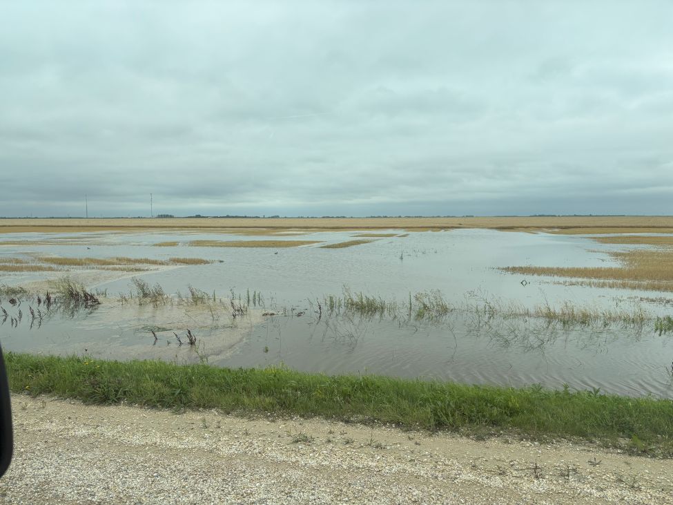a flooded field