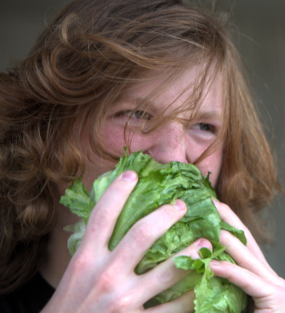 lettuce 2