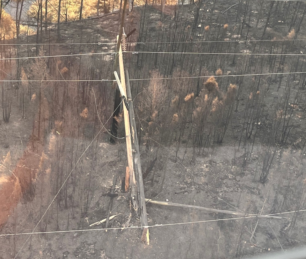 a damaged hydro pole due to forest fire