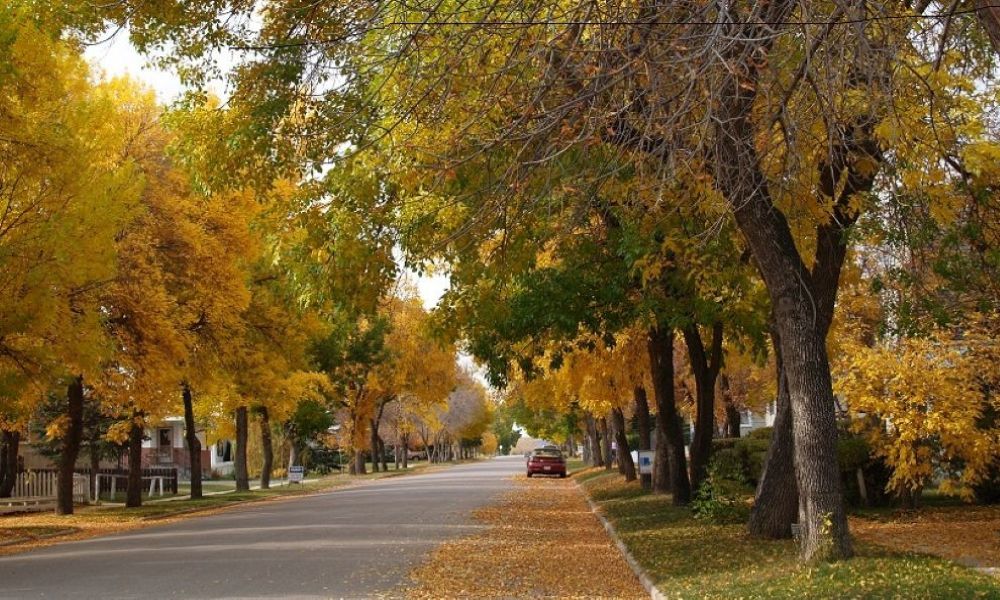 Street in Nanton.