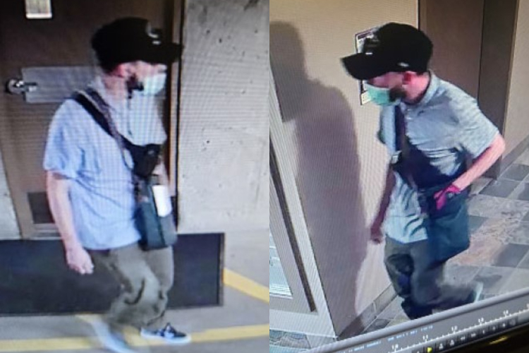 Security images of the suspect.