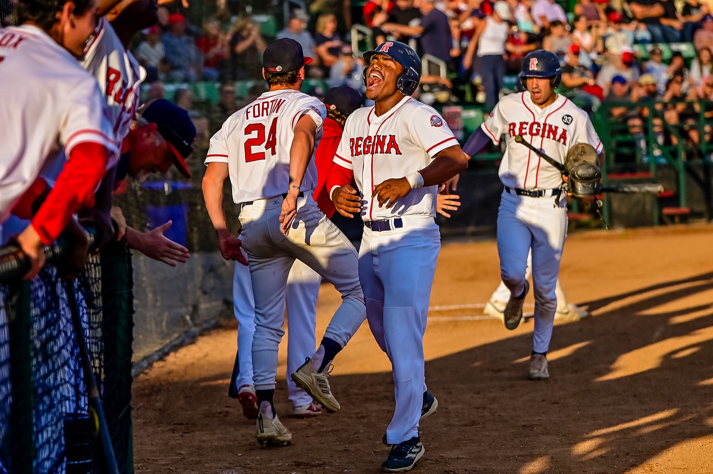 Regina Red Sox