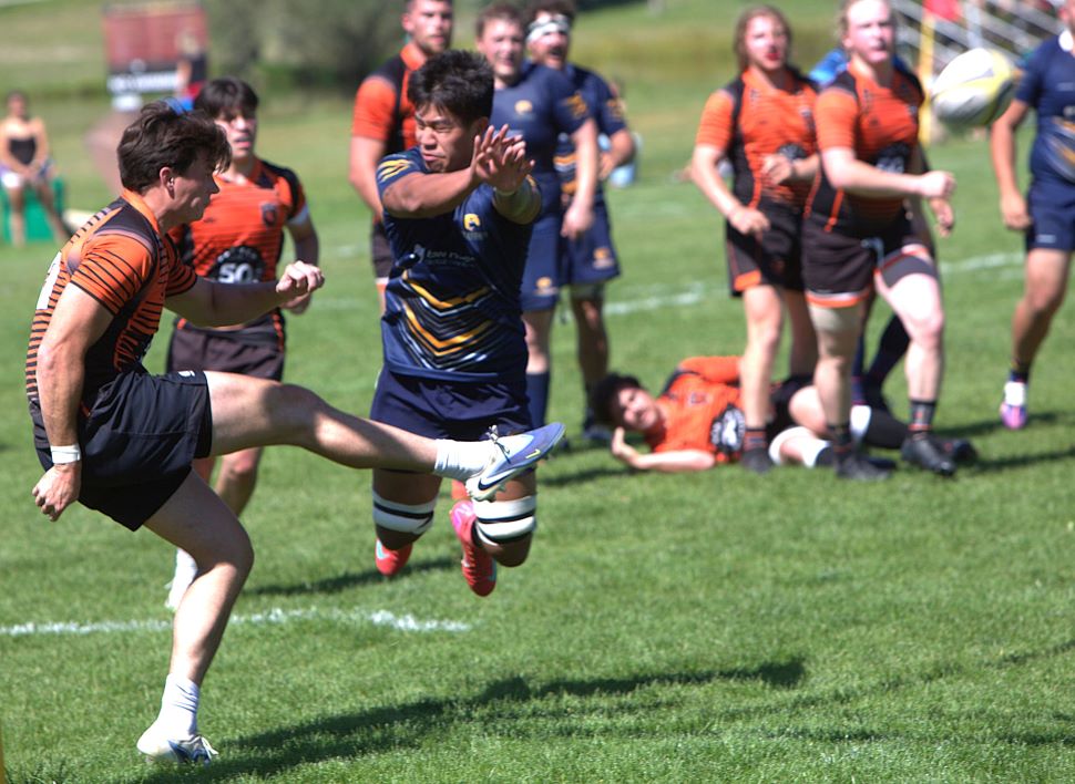 rugby 3