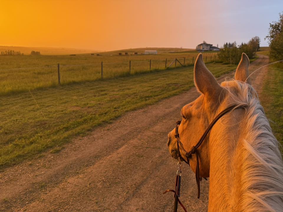 sunset_Ania L.jpg