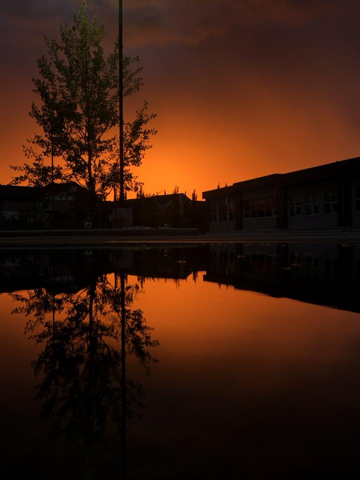 sunset_Cheri Lovell.jpg