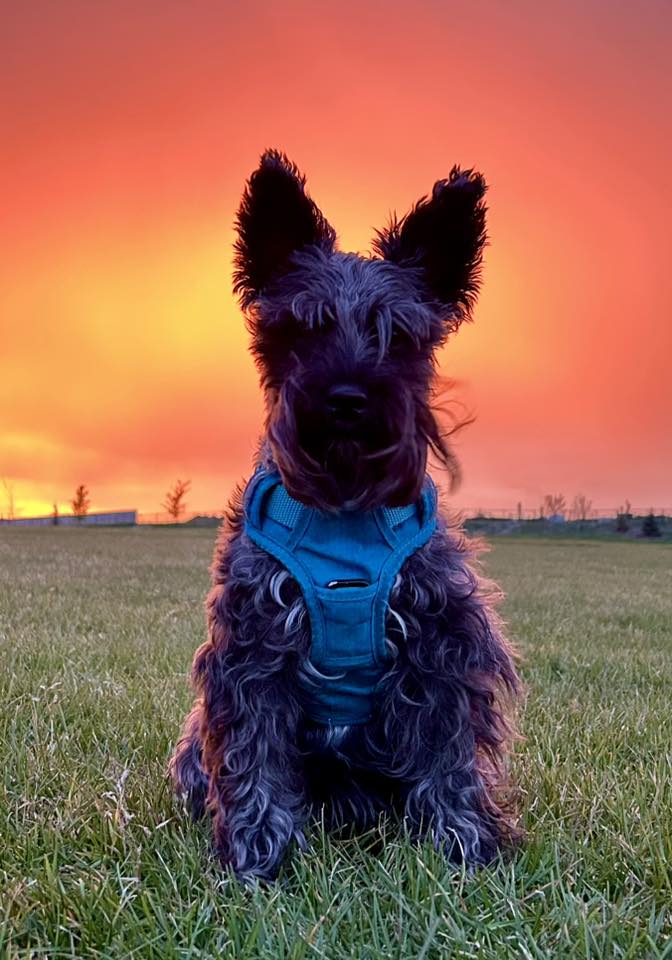 sunset_Claire MacDonald.jpg