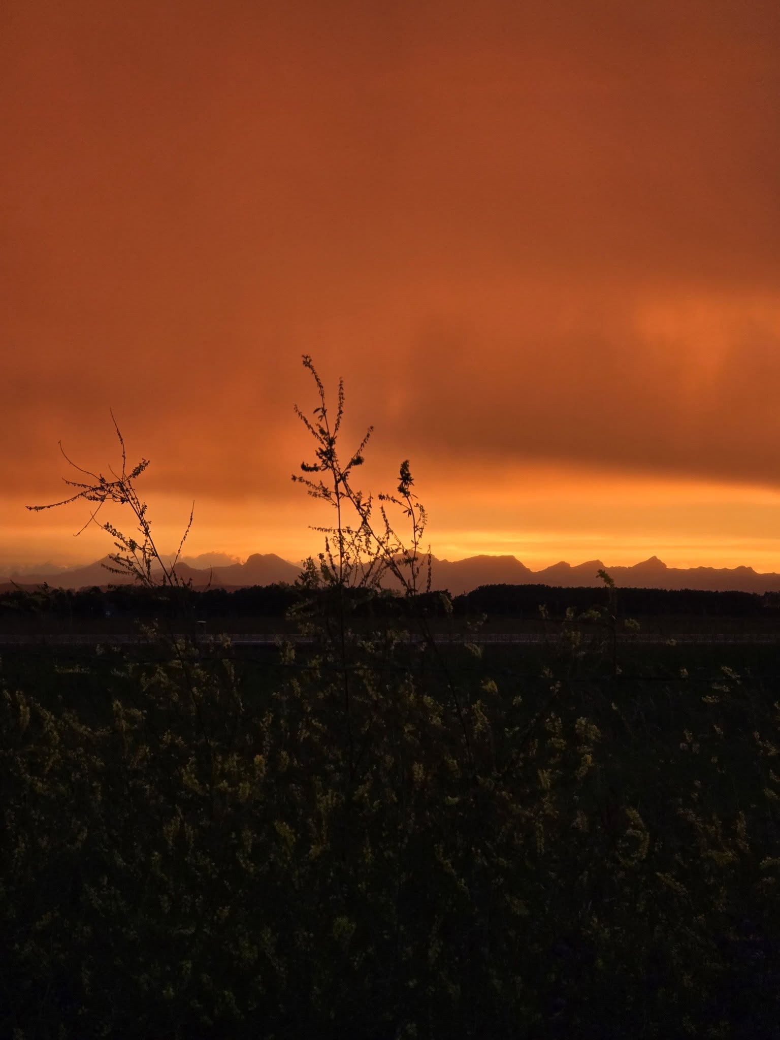 sunset_Dawn Dykeman.jpg