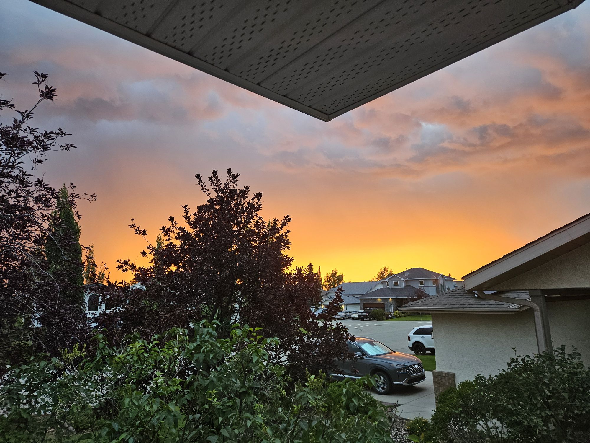 sunset_Margi Storey.jpg
