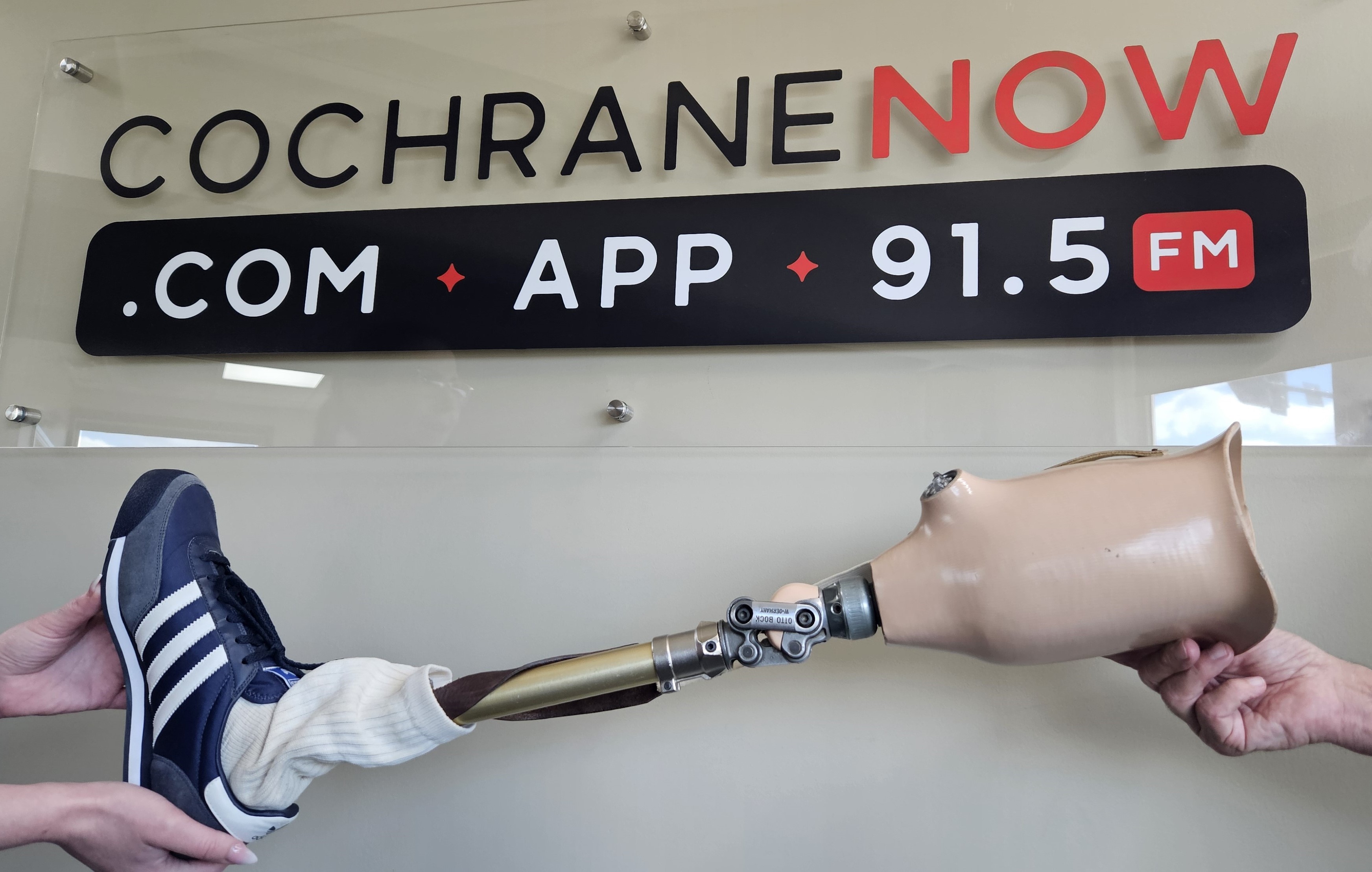 Terry Fox prosthetic leg replica