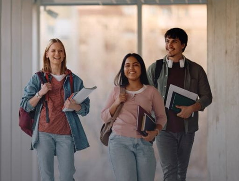 School univercity