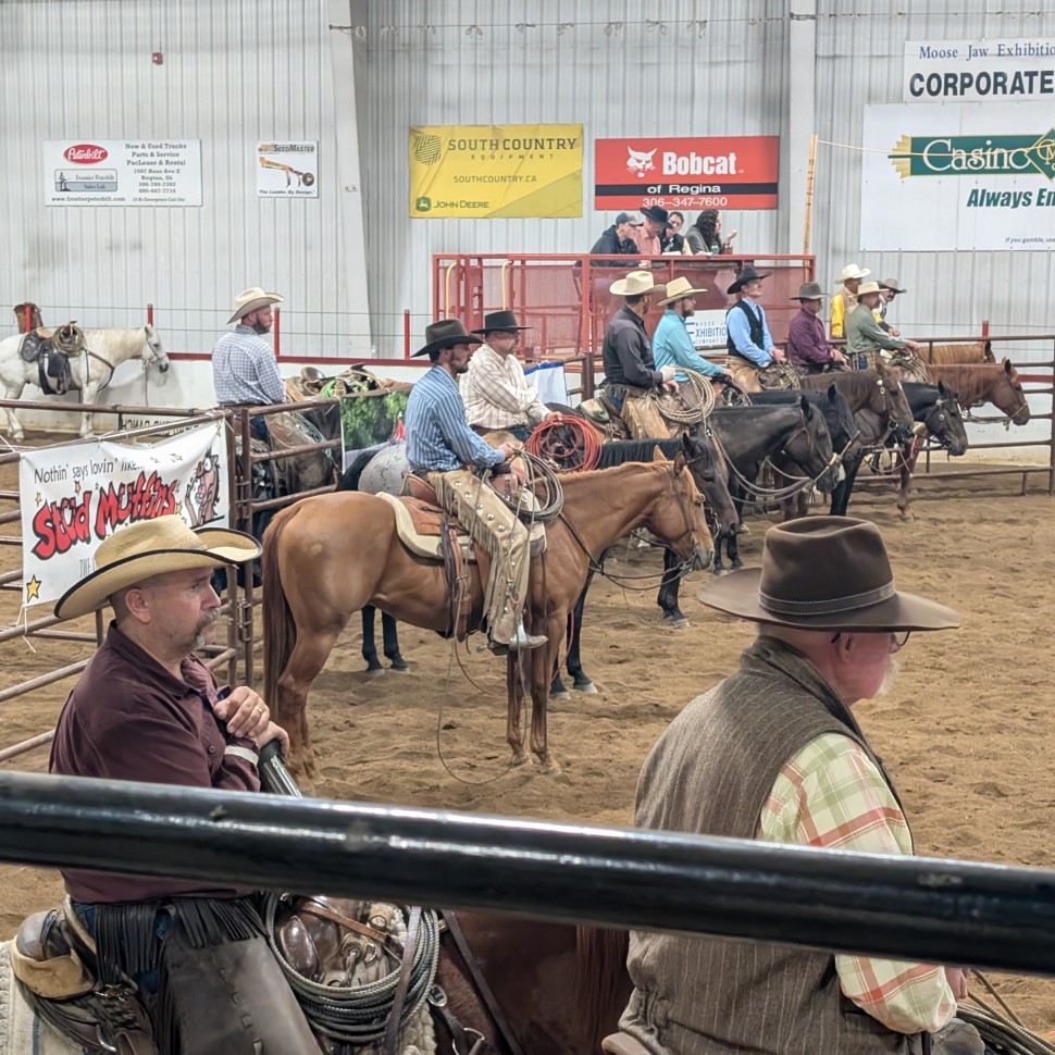 Competitors wait their turn, very quietly, at the Canadian Ranch Roping Association Nationals over the weekend (photos by Gordon Edgar)