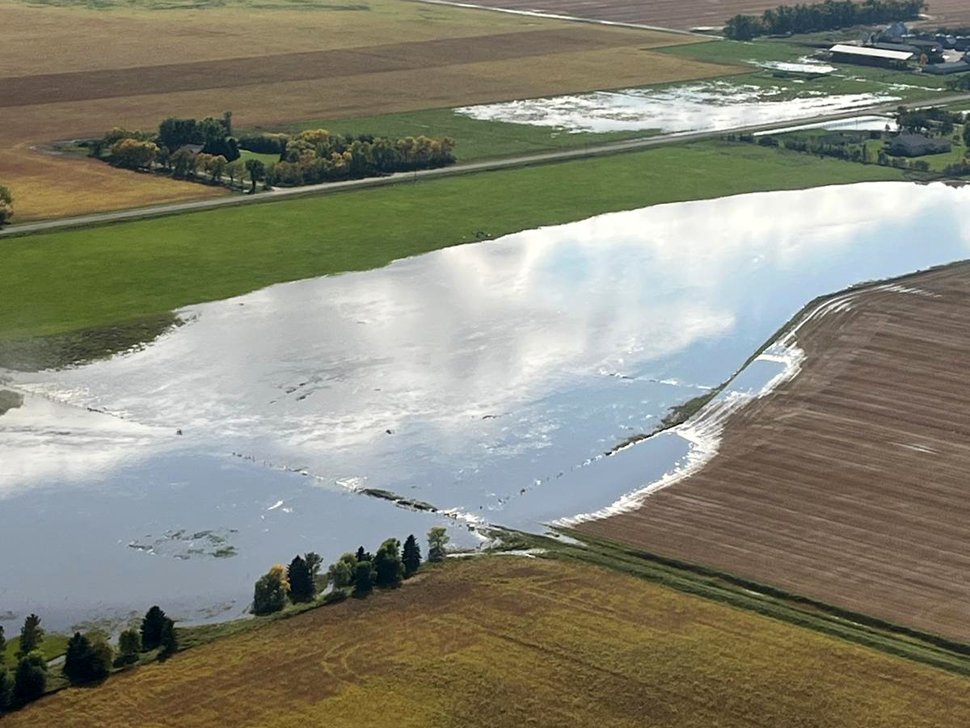 Heavy rainfall, early Friday morning, flooded fields south of Niverville.  (photo credit: Reg Friesen/ Prairie Sky Crop Solutions)