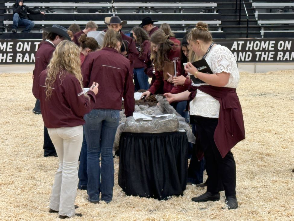 a group of young adults judging something on a table at an Agribition