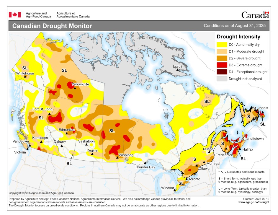 map of canada in yellow with drought area in the northern parts of the prairies and Atlantic Canada highlighted in red