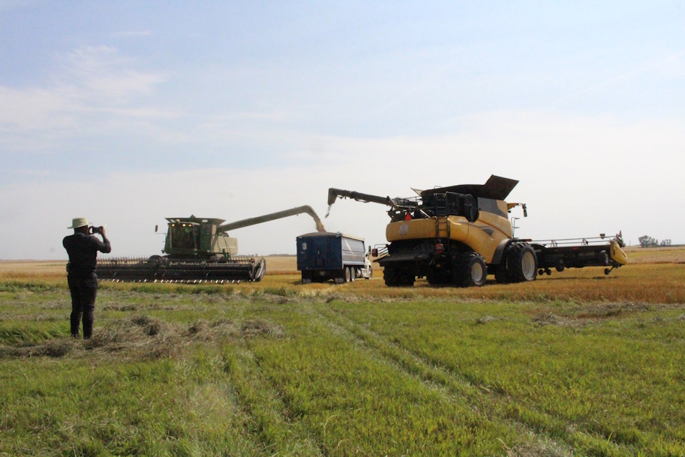 a man taking a picture of combines unloading