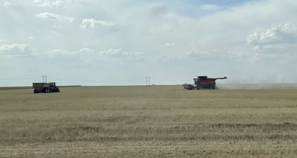 CROP REPORT 