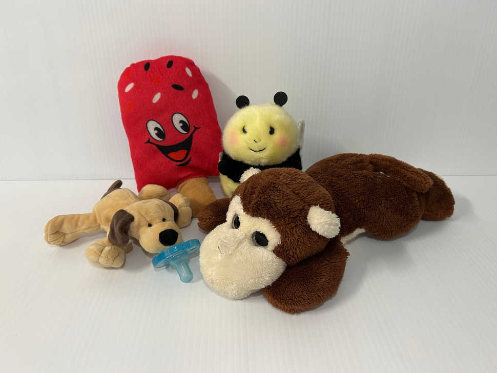 missing toys from the teddy bear picnic 2025