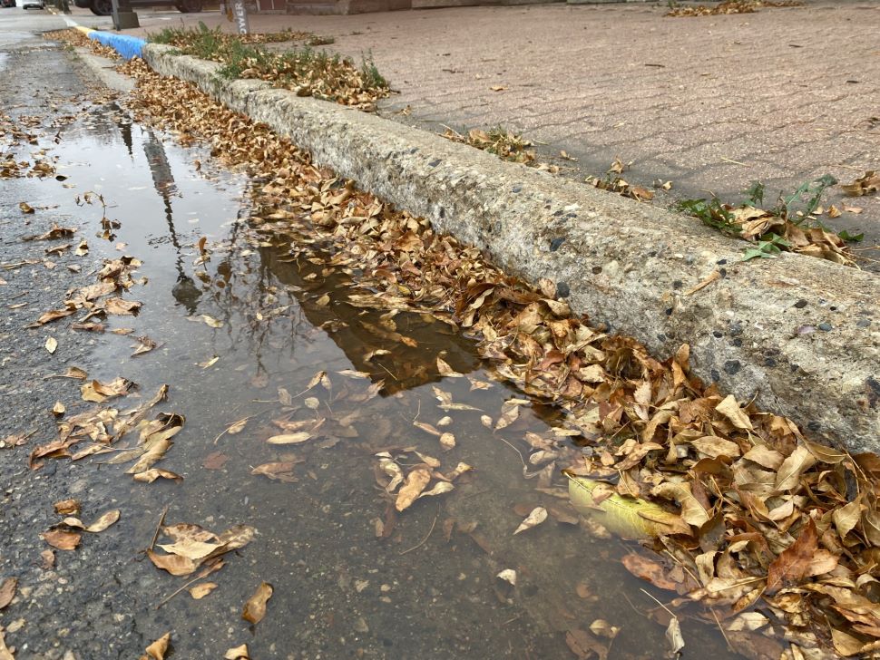a rainy street with dried October leaves