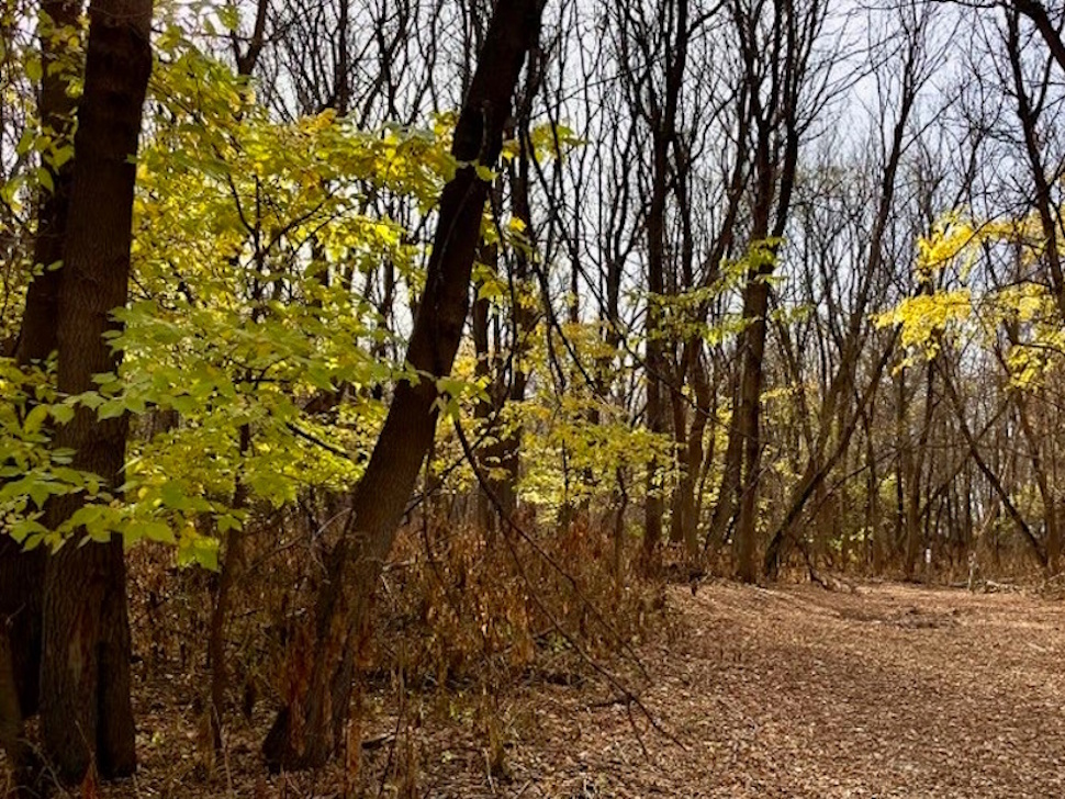 A warm autumn day in Southern Manitoba. Submitted Photo/Terry Klippenstein