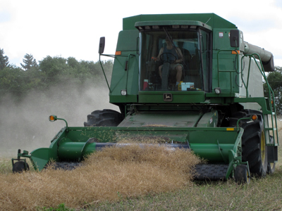 John Deere Combine harvesting canola swaths