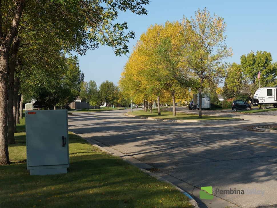 Street in autumn