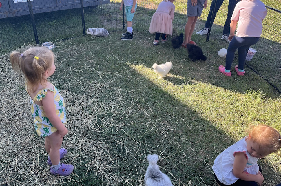 petting zoo