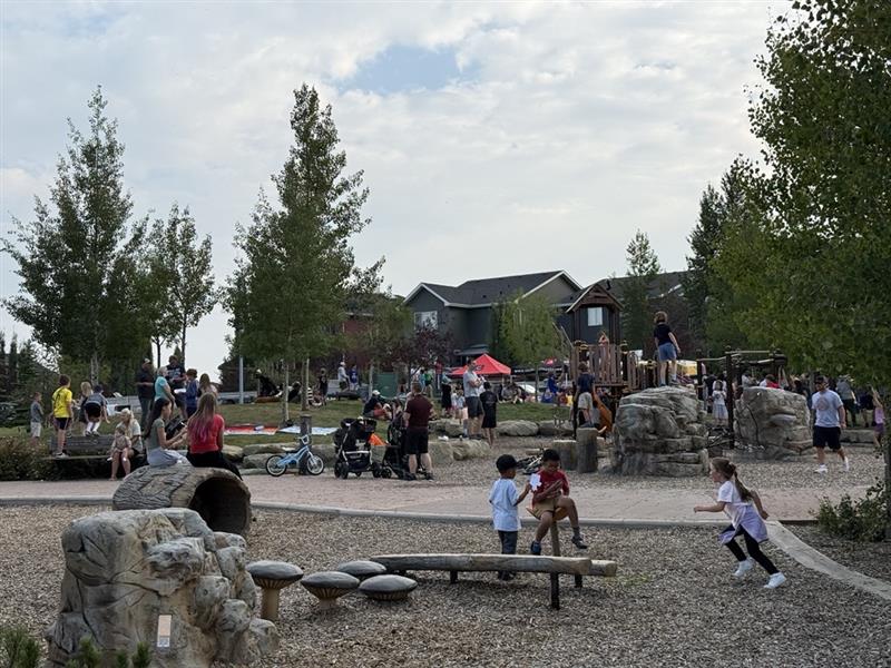 Cochrane's Best Neighbourhood Showdown 2025