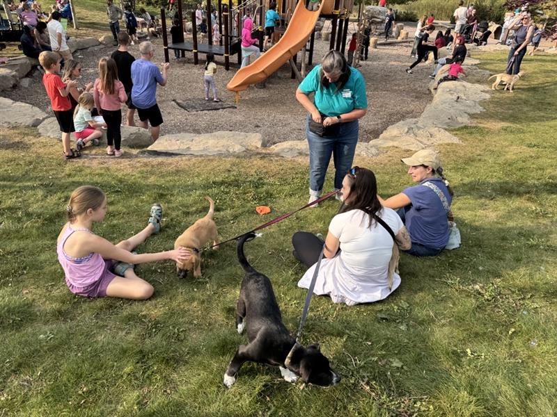 Cochrane's Best Neighbourhood Showdown 2025