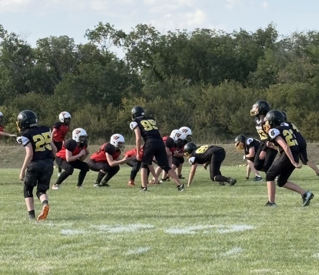 Steelers in action