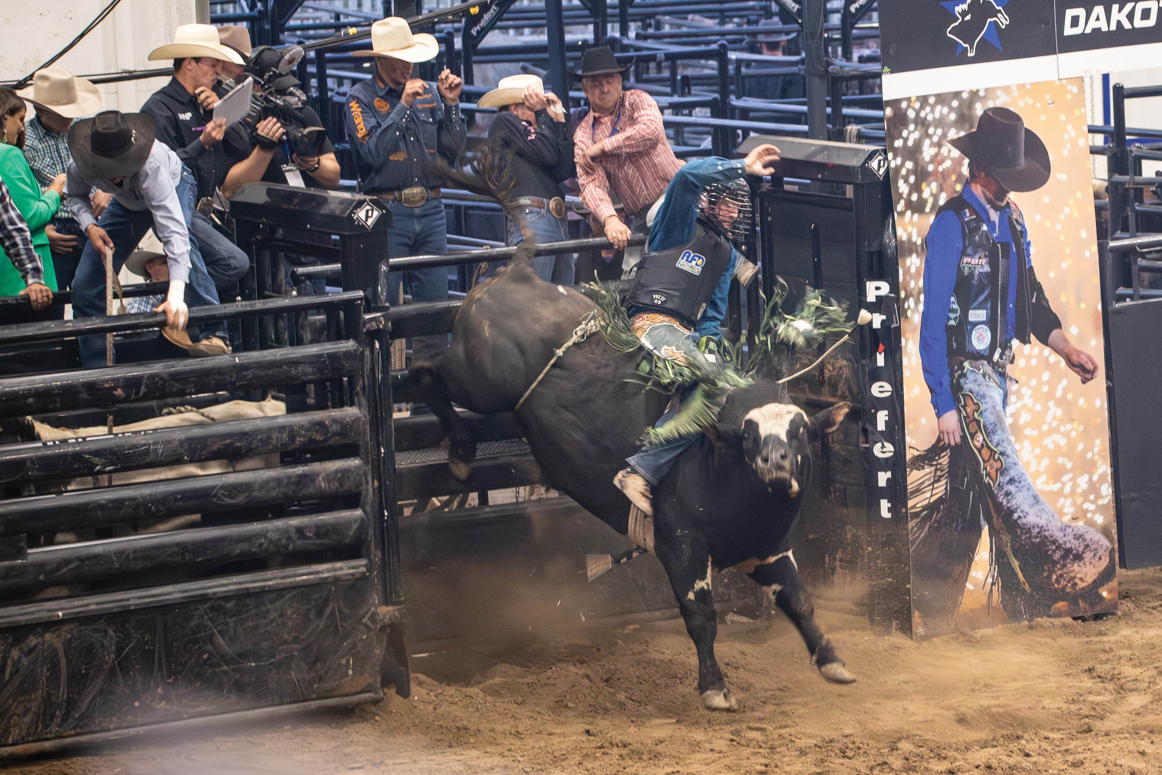 PBR Kindersley 10.jpg