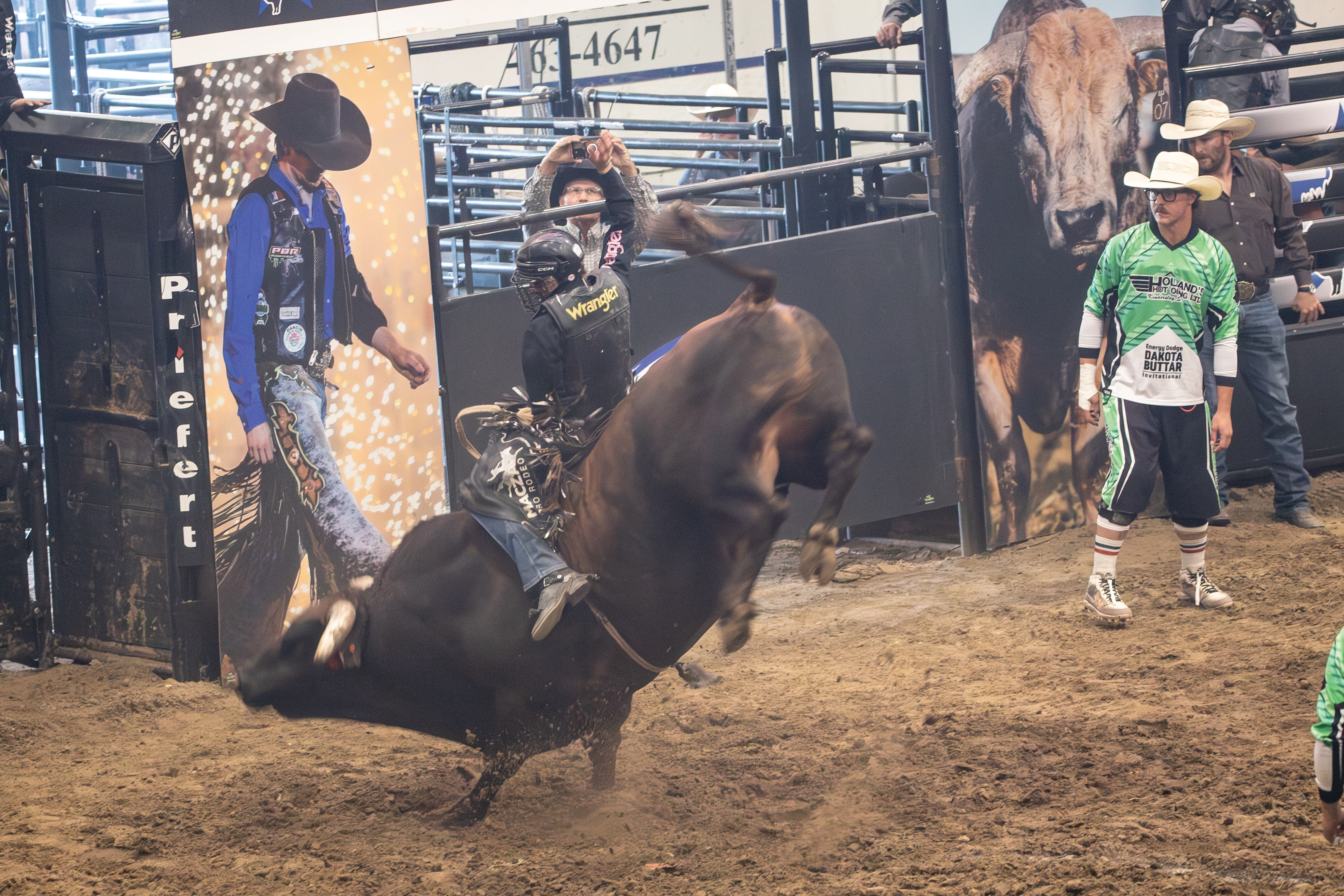 PBR Kindersley 4.jpg