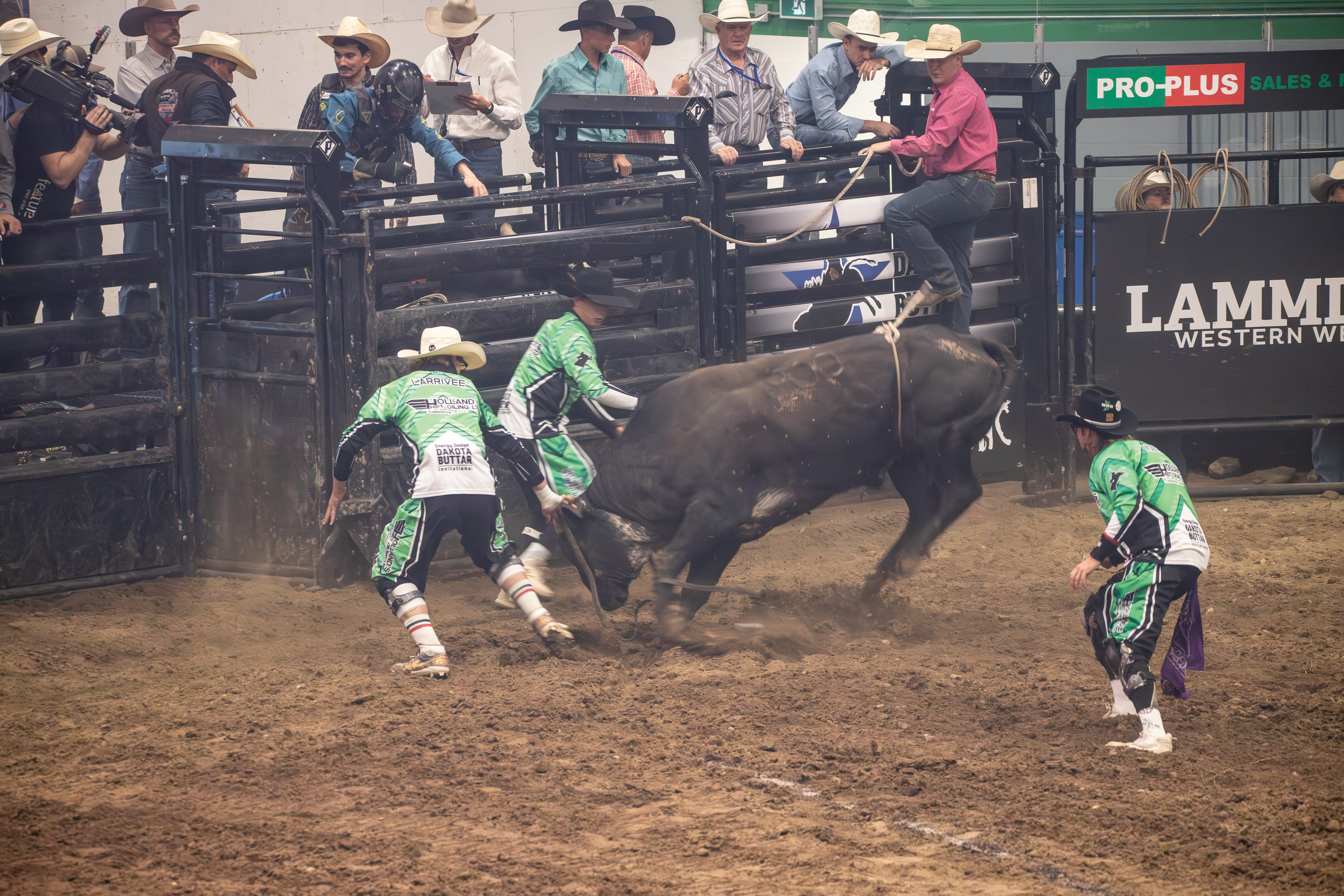 PBR Kindersley 8.jpg