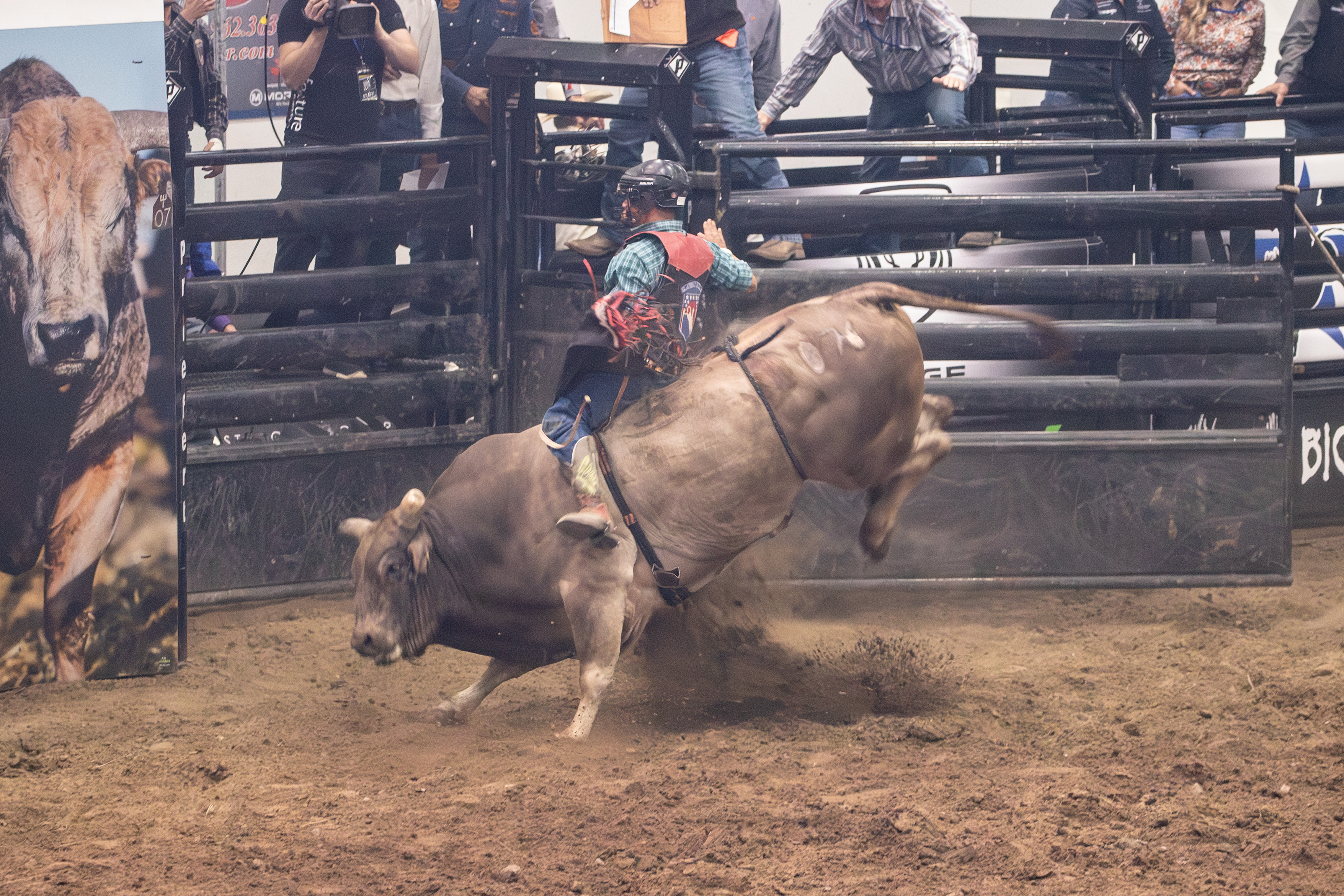 PBR Kindersley 9.jpg