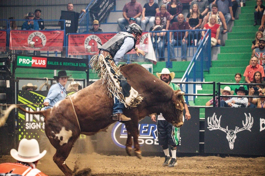 PBR Kindersley.jpg