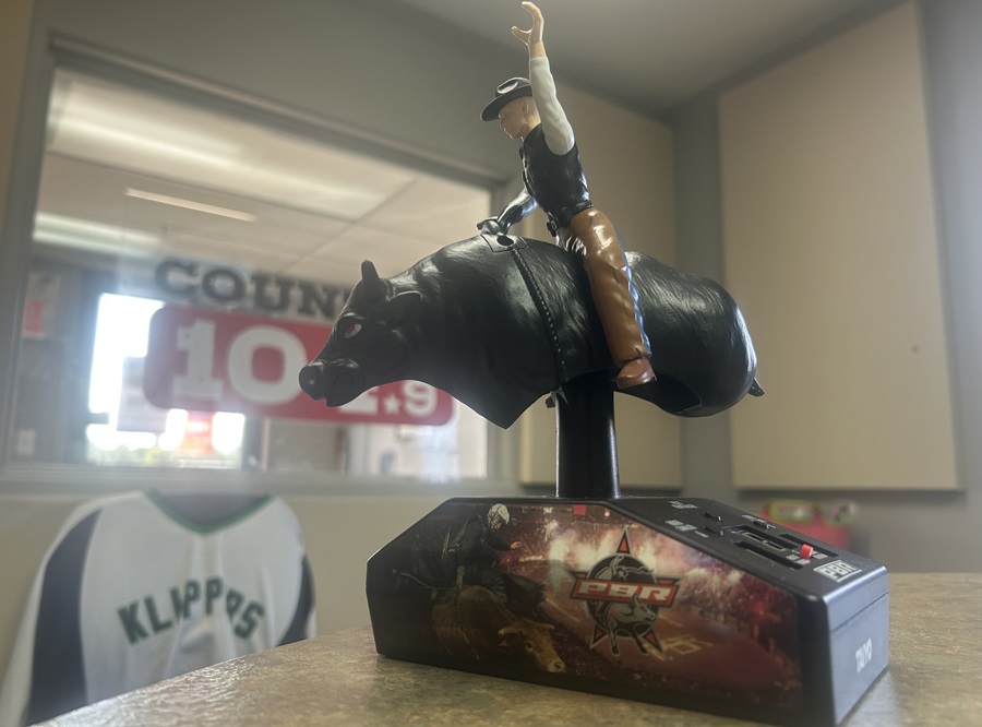 PBR Toy.jpg