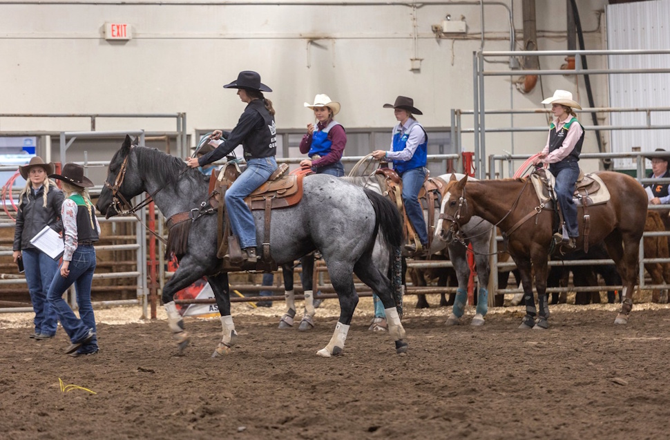rodeo