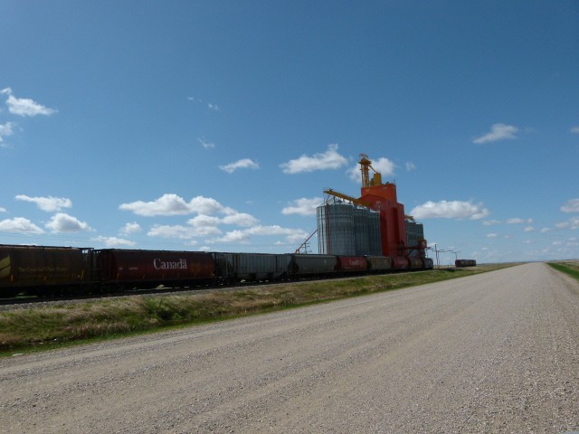 hopper cars lined up at a grain terminal