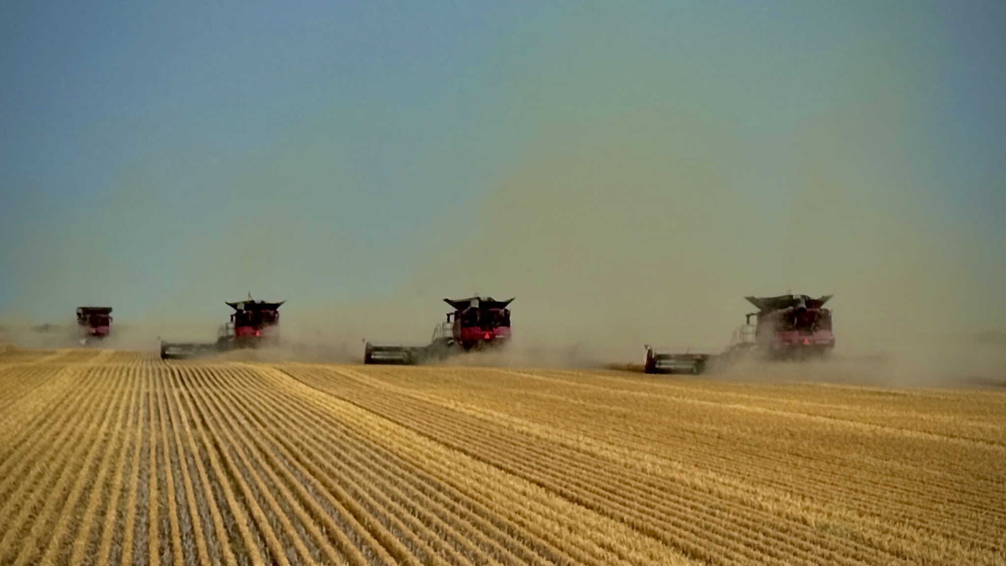 Ruslan Hrypa harvest 2025.jpg