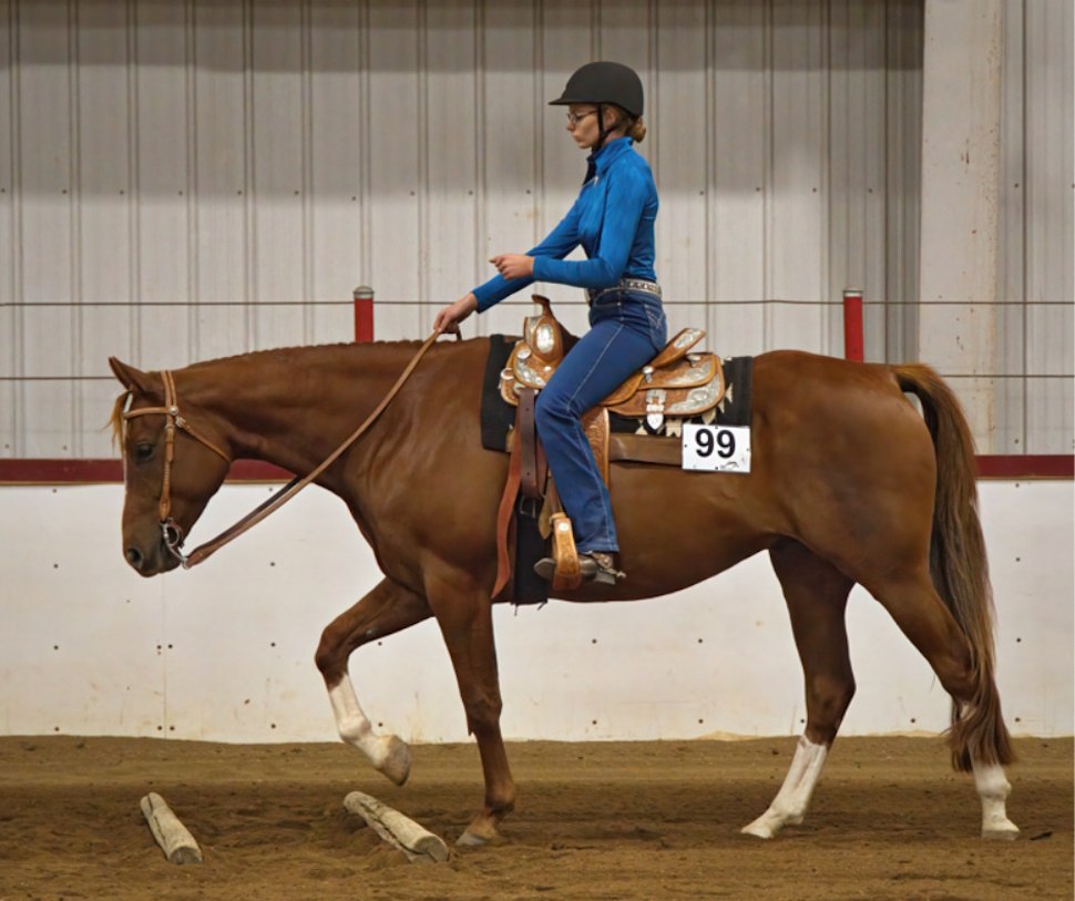 SK Horse Federation.jpeg